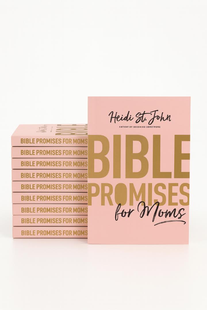 Bible Promises 10-Pack Bundle