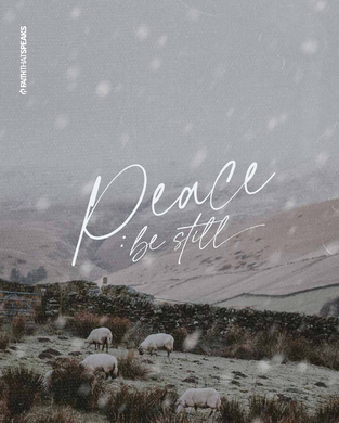 Peace Be Still 14 Day Devotional