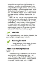 The Gospels Part 1 Study Guide - PDF