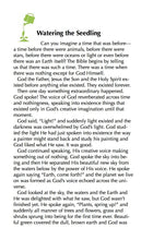 The Gospels Part 1 Study Guide - PDF